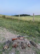 IMG_5488.jpeg