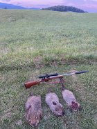 IMG_5514.jpeg
