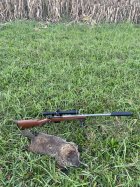 IMG_6053.jpeg
