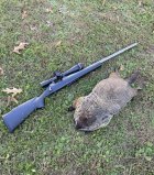 IMG_6165.jpeg