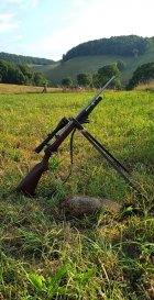 IMG_6321.jpeg