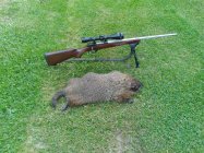 IMG_6326.jpeg