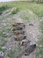 IMG_6327.jpeg