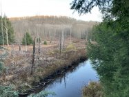IMG_4523.jpeg