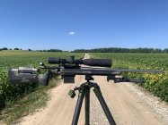 IMG_3379.jpeg