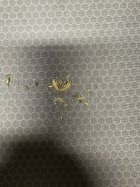 IMG_4735.jpeg