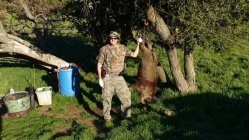 FB_IMG_1581447748283.jpg