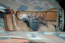 DSC_0002.JPG