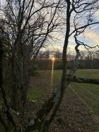 IMG_1609.jpeg