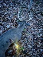 IMG_1612.jpeg