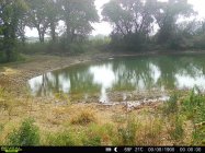 IMG_3800.jpeg