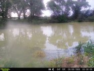 IMG_3799.jpeg