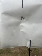 IMG_8751.jpeg