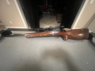 IMG_9037.jpeg