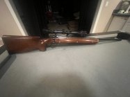 IMG_9038.jpeg