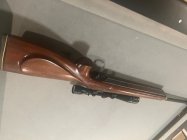 IMG_9040.jpeg