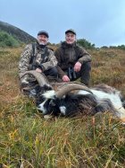IMG_2231.jpeg