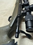 IMG_1379.jpeg