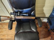 Mossberg 260 Rem.jpg