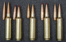 2024Nov13_DSC1054_Five 25-cal. bullets seated_2000w.jpg