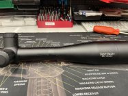 IMG_0273.jpeg