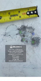 Ballistic-X-Export-2024-11-14 10:19:36.007065.png Ballistic-X-Export-2024-11-14 10:19:36.007065.png