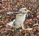 IMG_4191.jpeg