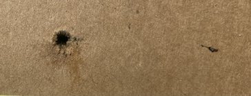 IMG_3480.jpeg