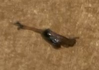 IMG_3483.jpeg