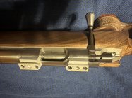 IMG_1326.jpeg