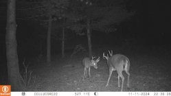 IMG_0615.jpeg