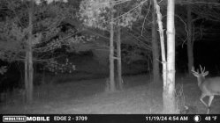 IMG_0627.jpeg