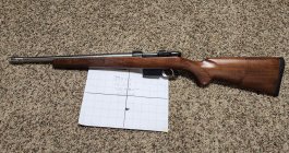 527-5.JPG