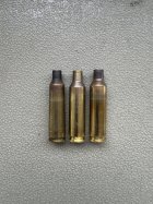 IMG_2216.jpeg