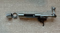 IMG_4420.jpeg