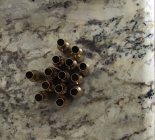 IMG_2256.jpeg
