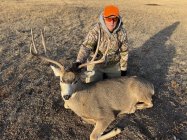 2024 Deer.jpg