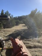 IMG_1180.jpeg