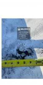 Ballistic-X-Export-2024-11-18 09:23:16.006365.png