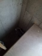 IMG_20241122_070057_815.jpg