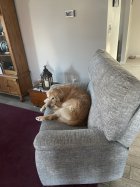 IMG_8986.jpeg