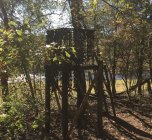 13524B89-E58C-4723-9F61-7730FF7A4AD6.jpeg