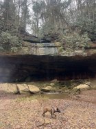 IMG_4111.jpeg