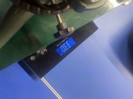 IMG_4490.jpeg