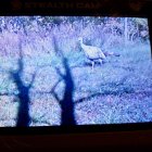 IMG_1956.jpeg