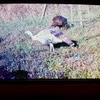 IMG_1955.jpeg