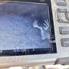 IMG_1953.jpeg