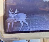 IMG_1957.jpeg