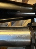 IMG_4750.jpeg