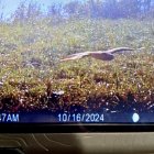 IMG_1966.jpeg